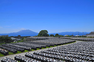 鹿児島の壺造り黒酢